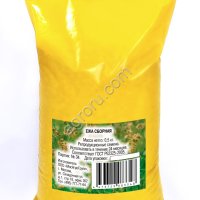 Семена Ежи сборной