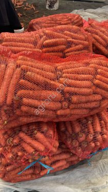 Морковь оптом от фермера из Беларуси