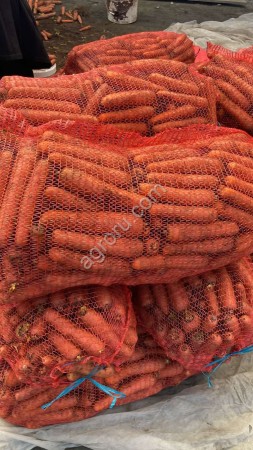 Морковь оптом от фермера из Беларуси