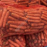 Морковь оптом от фермера из Беларуси