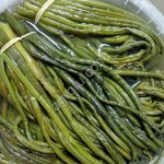 Папоротник соленый