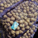 Картофель 2 Сорта