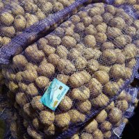 Картофель 2 Сорта