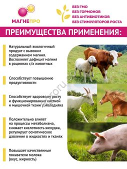 Магнийсодержащая добавка МАГНЕПРО