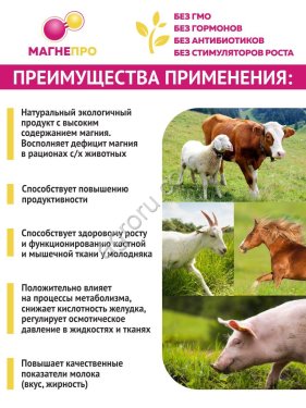 Магнийсодержащая добавка МАГНЕПРО