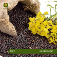 Семена рапса Юбилейный 23 (Рс1)