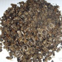 Положок(холстик) прополисный