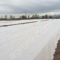 Агроспан 60