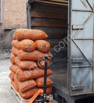 Кубанский грецкий орех оптом