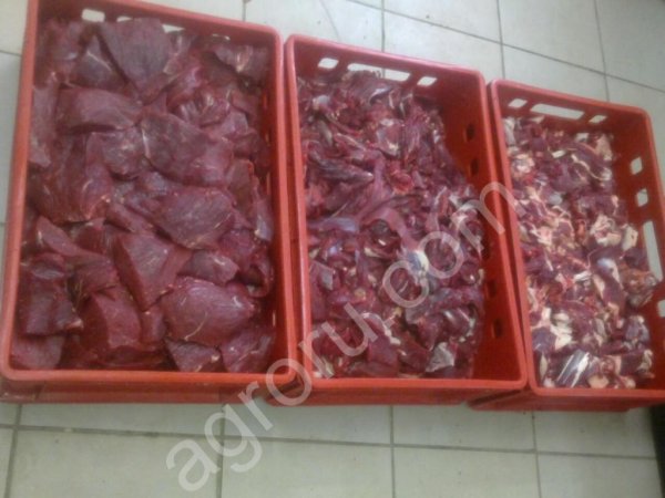 Мясо говядины блочное высший сорт