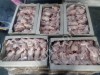 Мясо птицы, ЦБ оптом от производителя