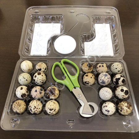 Яйцо перепелиное (отборное) + ножницы (комплект)