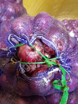 ЛУК (РЕД БУЛЛ)