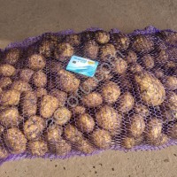 Картофель
