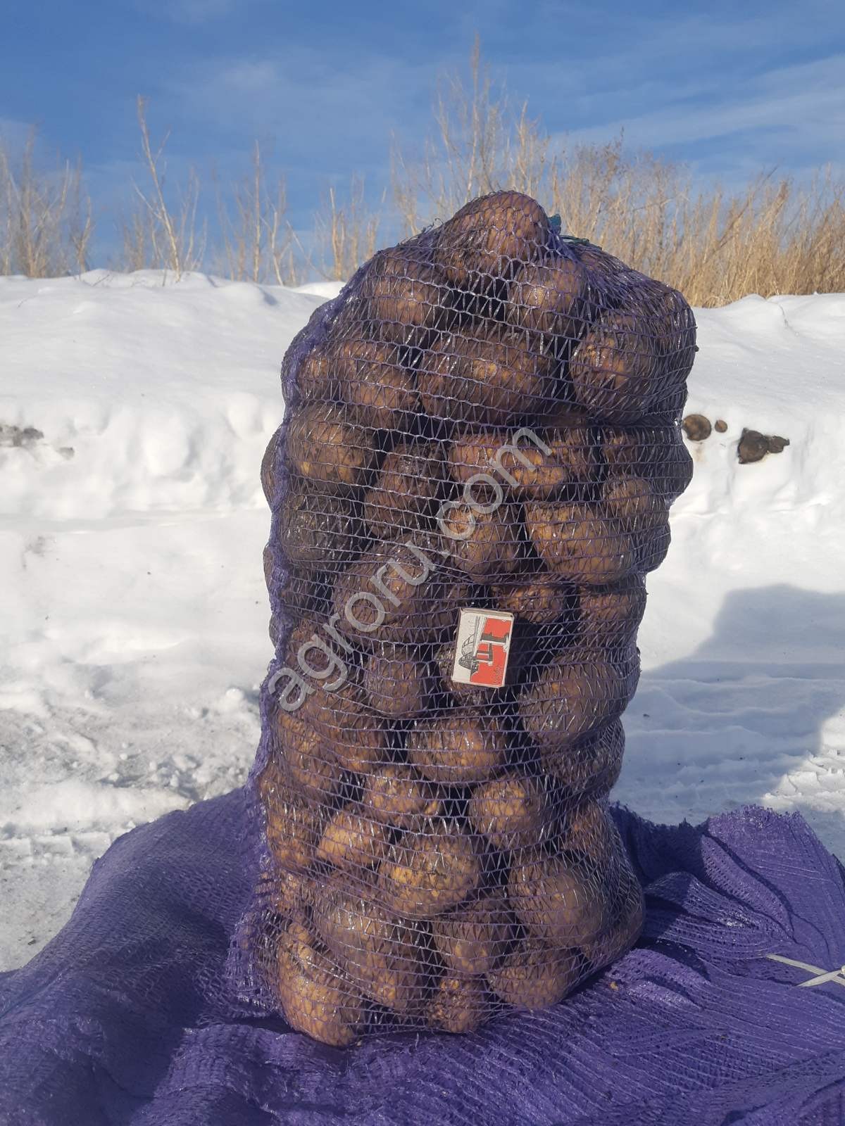 Поднятая картошка