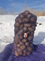 Картофель продовольственный 2-й сорт Гала, Розара