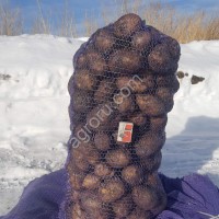 Картофель продовольственный 2-й сорт Гала, Розара