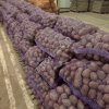 Картофель оптом