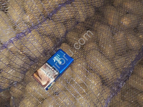 Картофель оптом