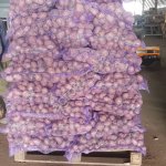 Картофель сетевого качества Ред Скарлет 5+ оптом.