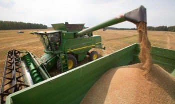 Украина не сможет заместить Россию в поставках зерна в Турцию