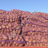 Картофель Оптом свежий