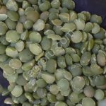 Горох зелёный шлифованный колотый и целый, нешлифованный