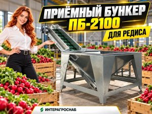 Приёмный бункер ПБ-2100 для редиса