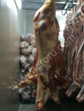 Конина п/т охлаждёнка, свежая заморозка