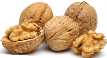 Грецкий орех