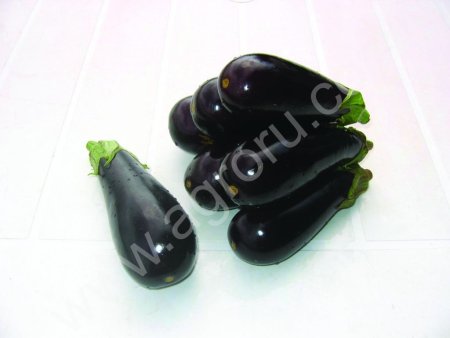 Гибридные баклажаны