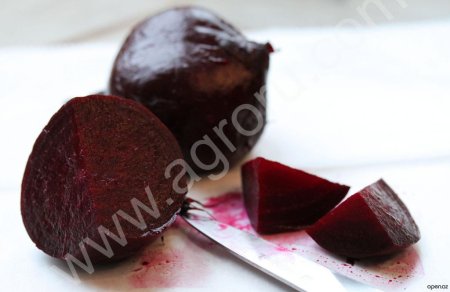 Свекла столовая Бордо