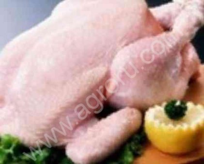 Тушки индейки от производителя