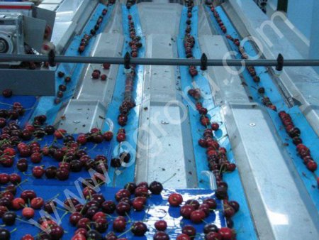 «Воронежсельмаш» запустил зерносушильную линию в Тульской области