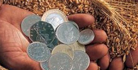 Отток инвестиций в аграрный рынок в 2014 году достиг $500 млн
