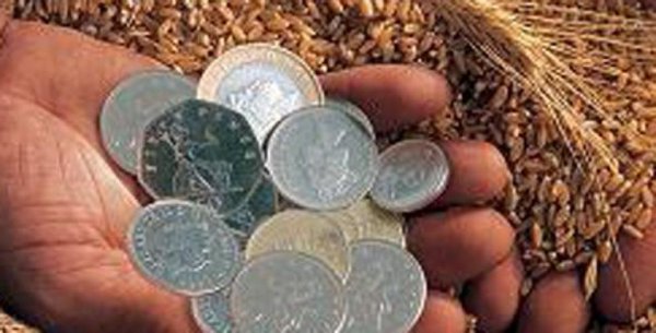 Отток инвестиций в аграрный рынок в 2014 году достиг $500 млн