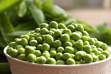 Эксперты прогнозируют в Украине рекордный урожай гороха