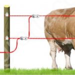 Электро-пастух (изолирующая электро-изгородь)