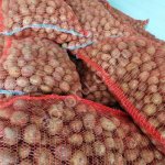 Семенной картофель