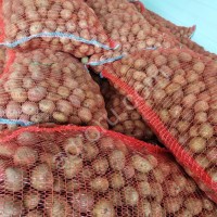 Семенной картофель