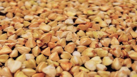 Украина: Установление цен на гречку