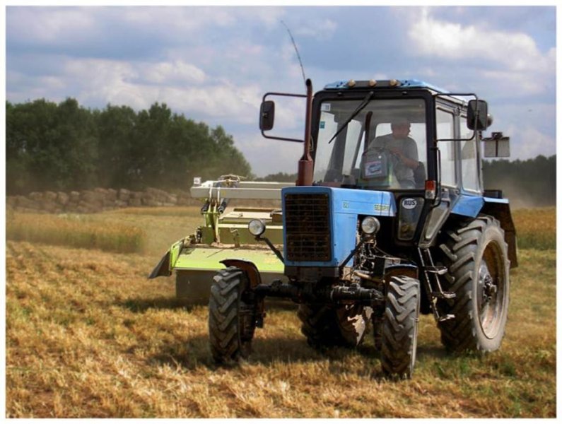 Сельчане Тамбовской области приступили к севу озимых