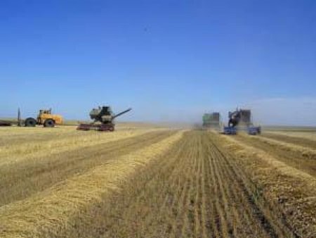 Ход уборки: на 26 июня намолочено 735 тыс.т зерна