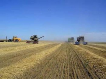 Ход уборки: на 26 июня намолочено 735 тыс.т зерна