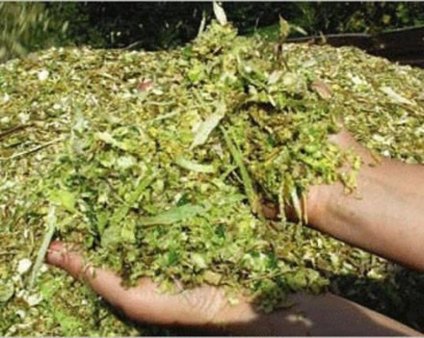 Синоптики обещают в сентябре дожди