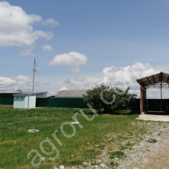 Убойный цех