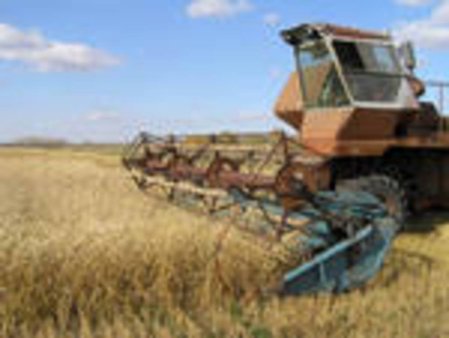 Воронежская область в текущем году поставила рекорд урожая