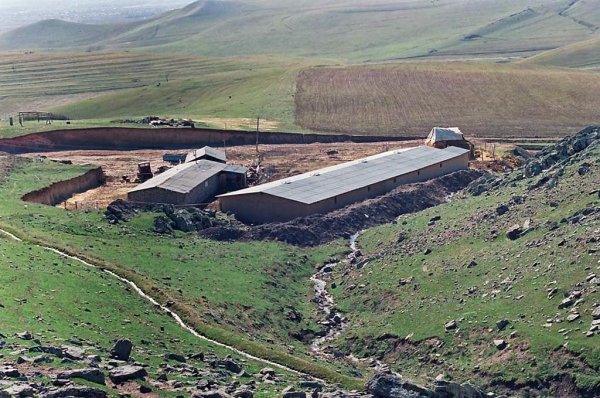 Фермерские хозяйства в России нуждаются в поддержке