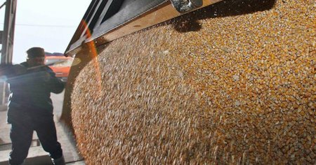 Как поведут себя цены на зерновые, покажет время, - Краткий обзор рынка зерна