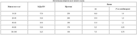 Энергия и лизин - основа кормления в современном свиноводстве